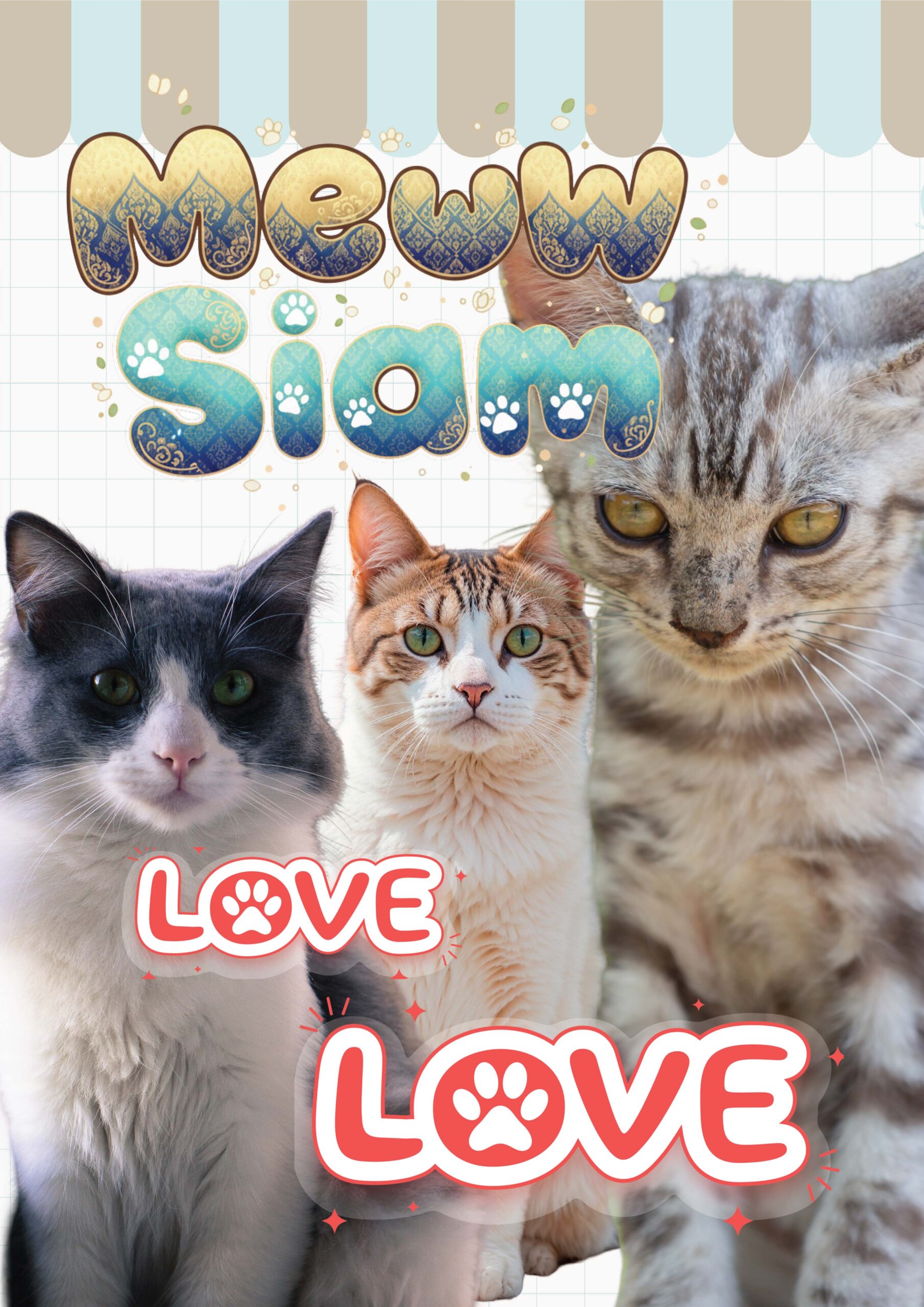 Siamese cat Magazine