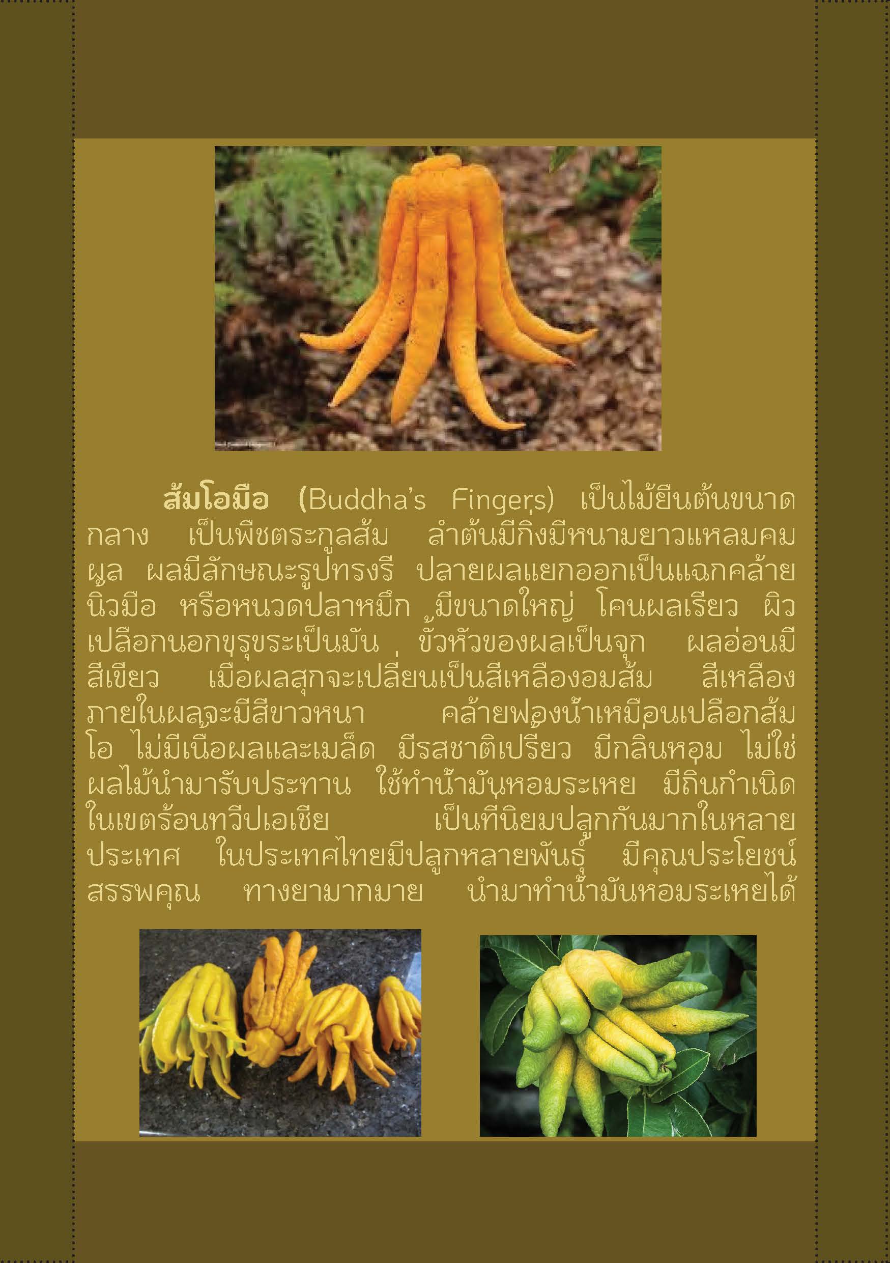 หนังสือ5501_Page_04