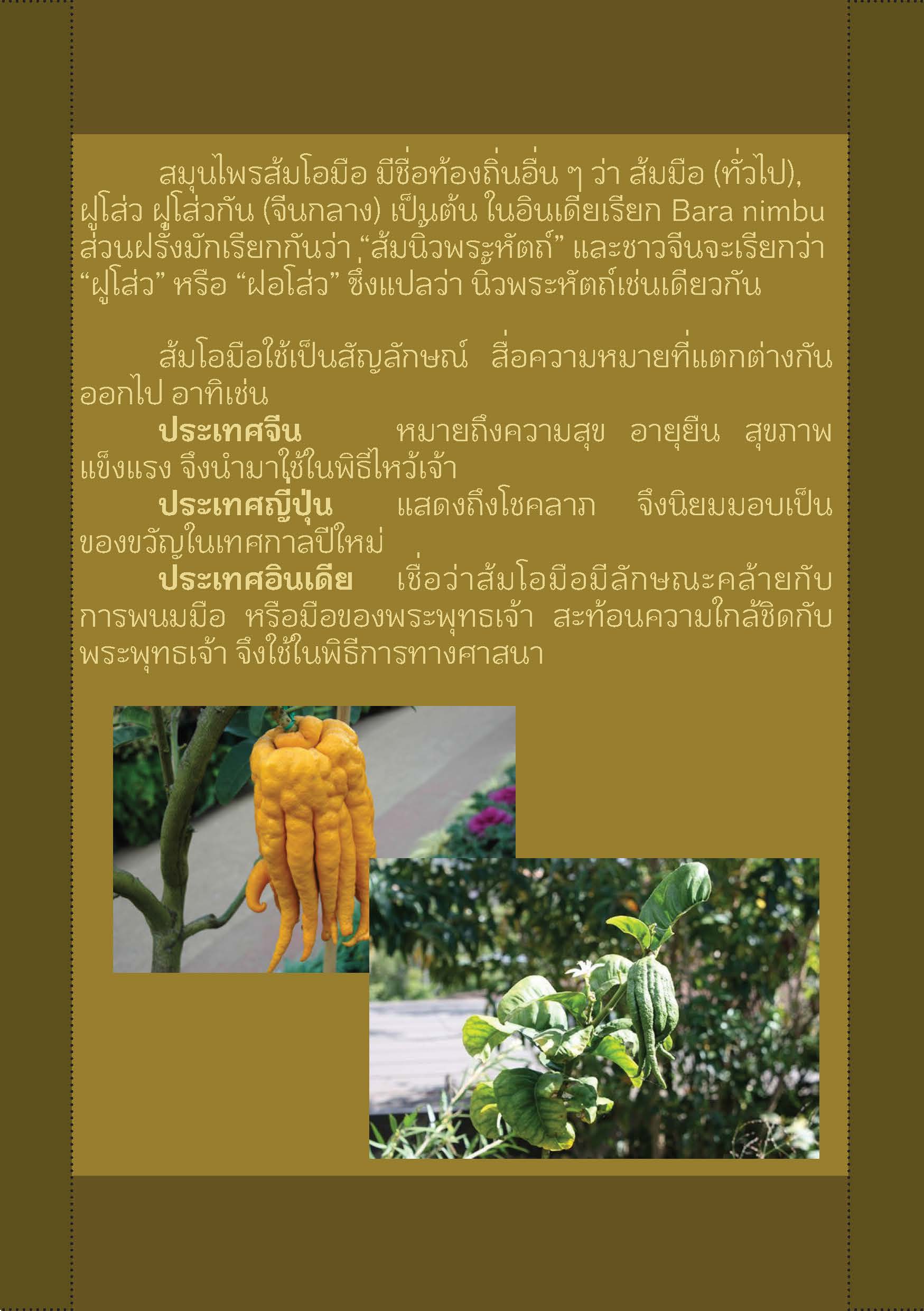 หนังสือ5501_Page_05
